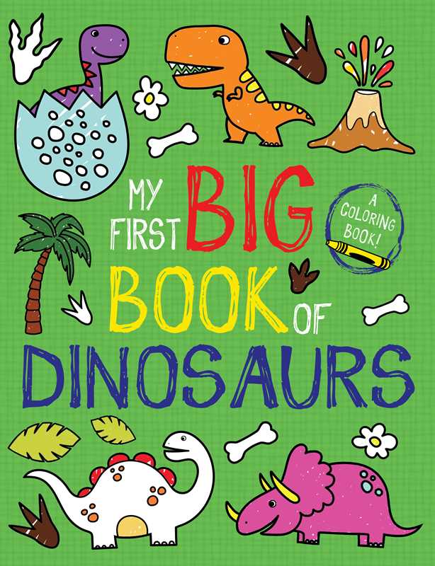 My First Big Book of Dinosaurs | Little Bee Books