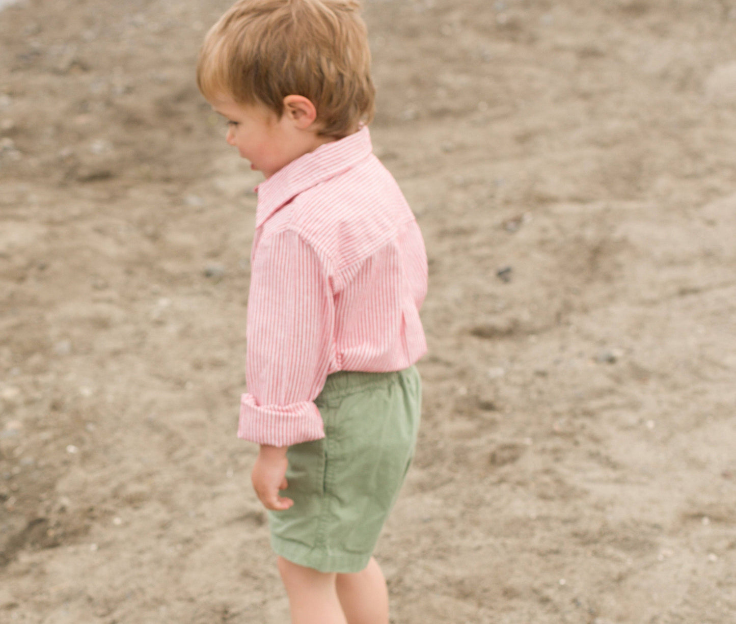 Collar Shirt - Blue Stripe | Beet World
