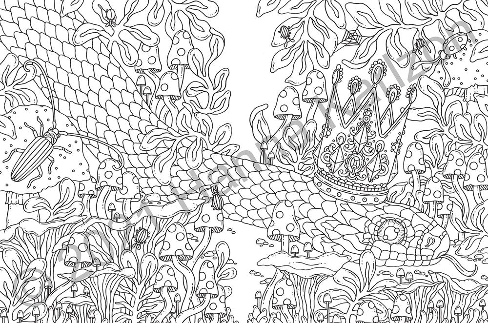 Tales from the Forest Kingdom Coloring Book | Gibbs Smith