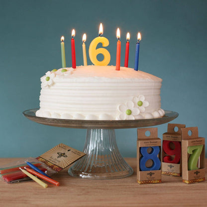 Birthday Number Cake Candles (Various) | Big Dipper Wax Works