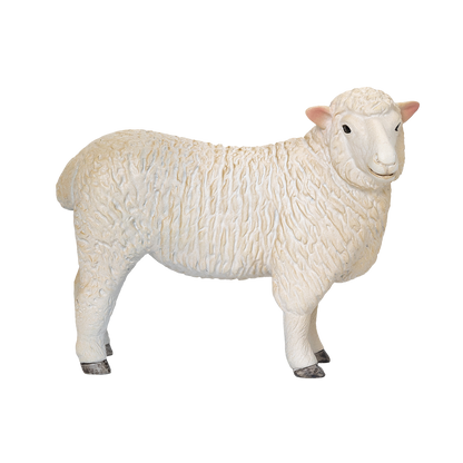 MOJO Romney Sheep Ewe | Hauck Toys