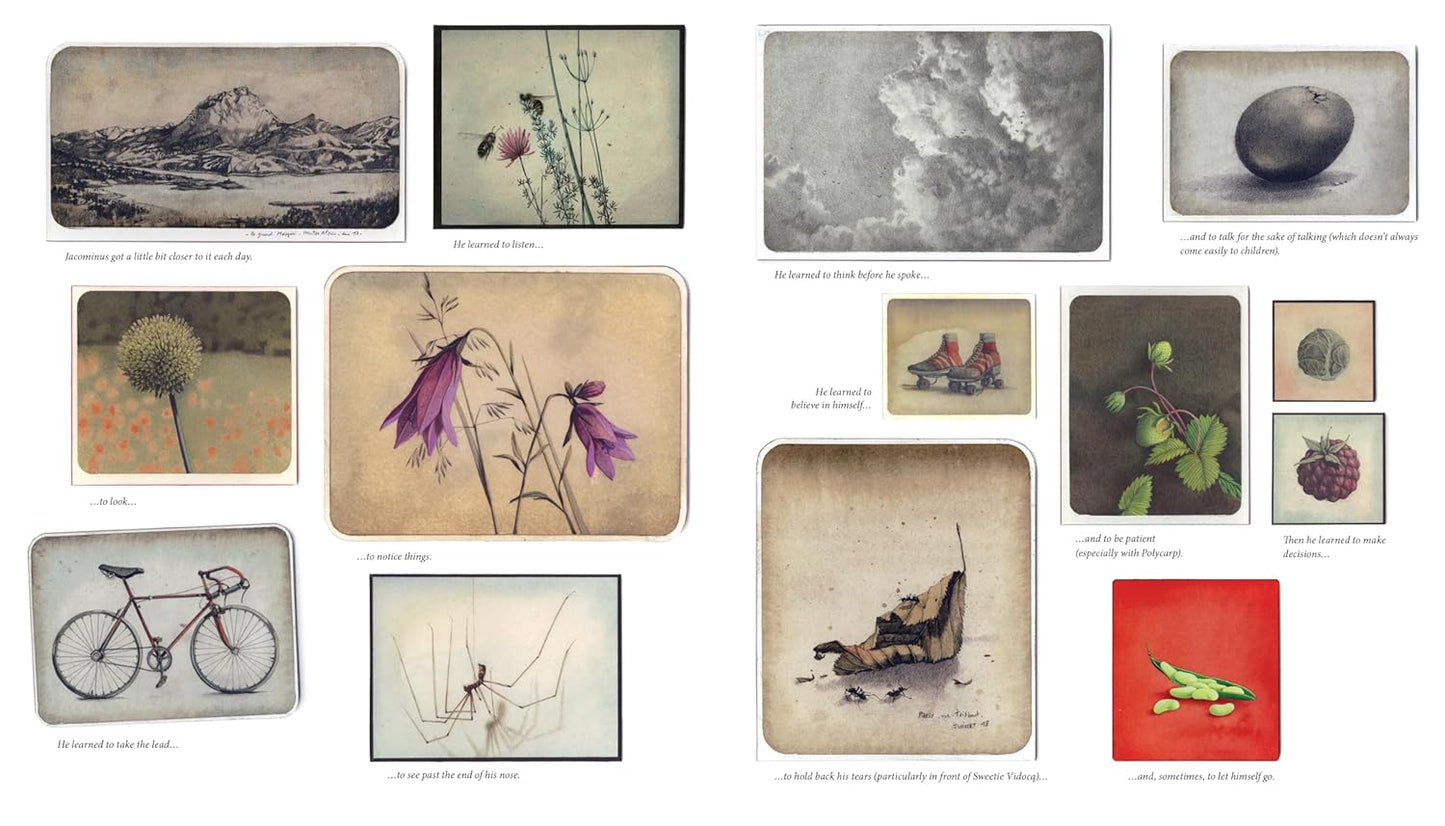 The Ordinary Life of Jacominus Gainsborough | Rébecca Dautremer