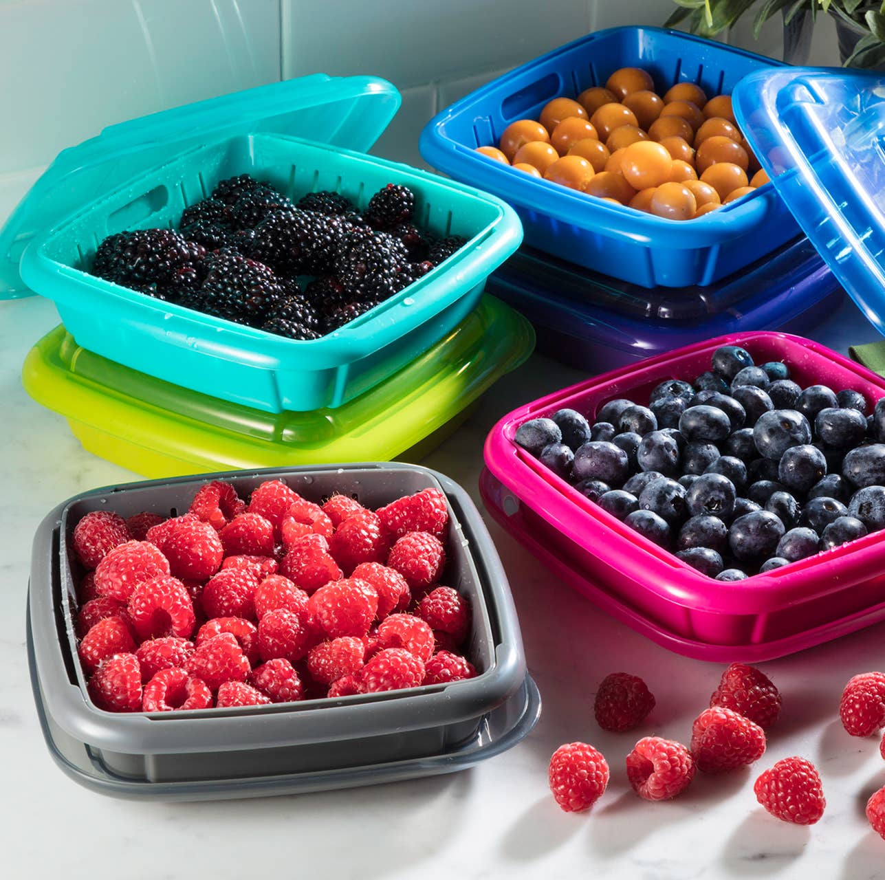 Bitty Berry Box | Gourmac