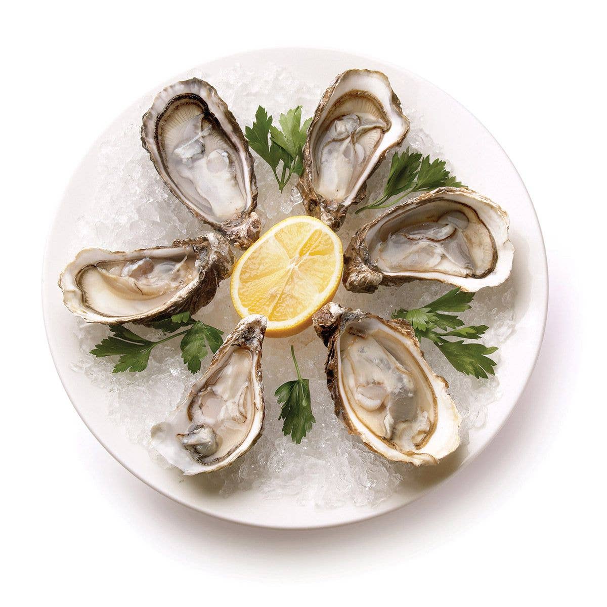 Maine Man Oyster Knife | HIC Kitchen