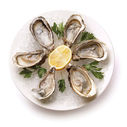 Maine Man Oyster Knife | HIC Kitchen