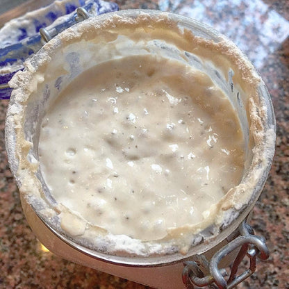 Sourdough Starter | Breadtopia