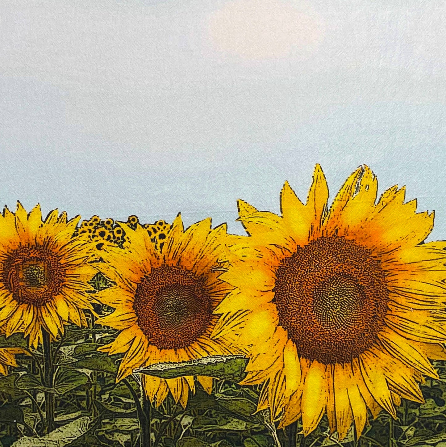 Sunflower Flour Sack Towel | Alphie and Ollie