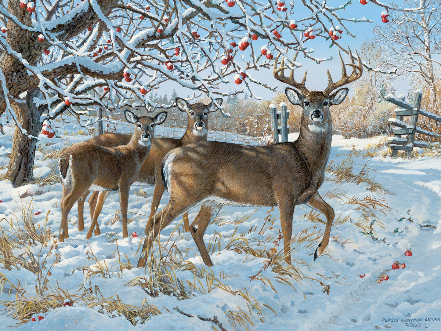 Winter Deer - 500pc Puzzle | Cobble Hill Puzzles