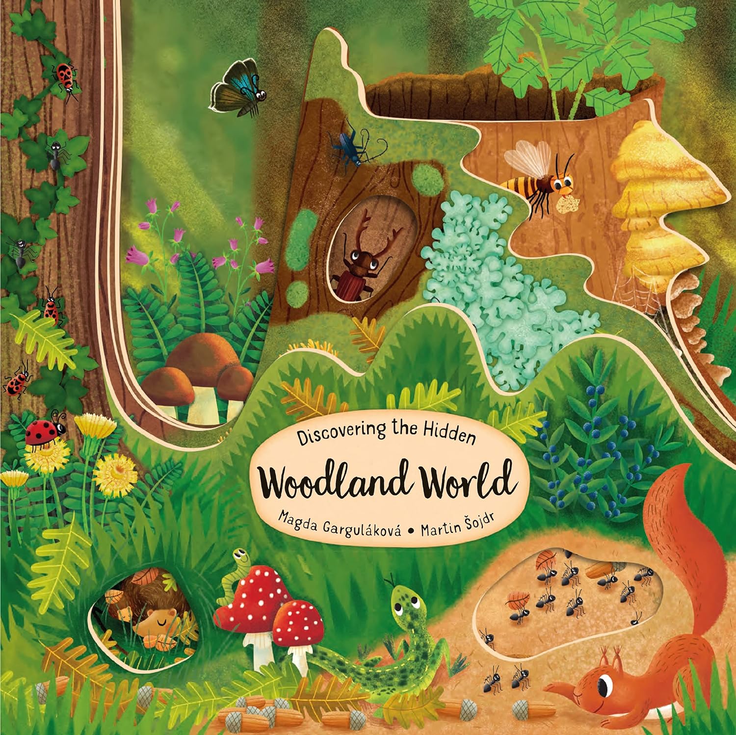 Discovering the Hidden Woodland World | Happy Fox