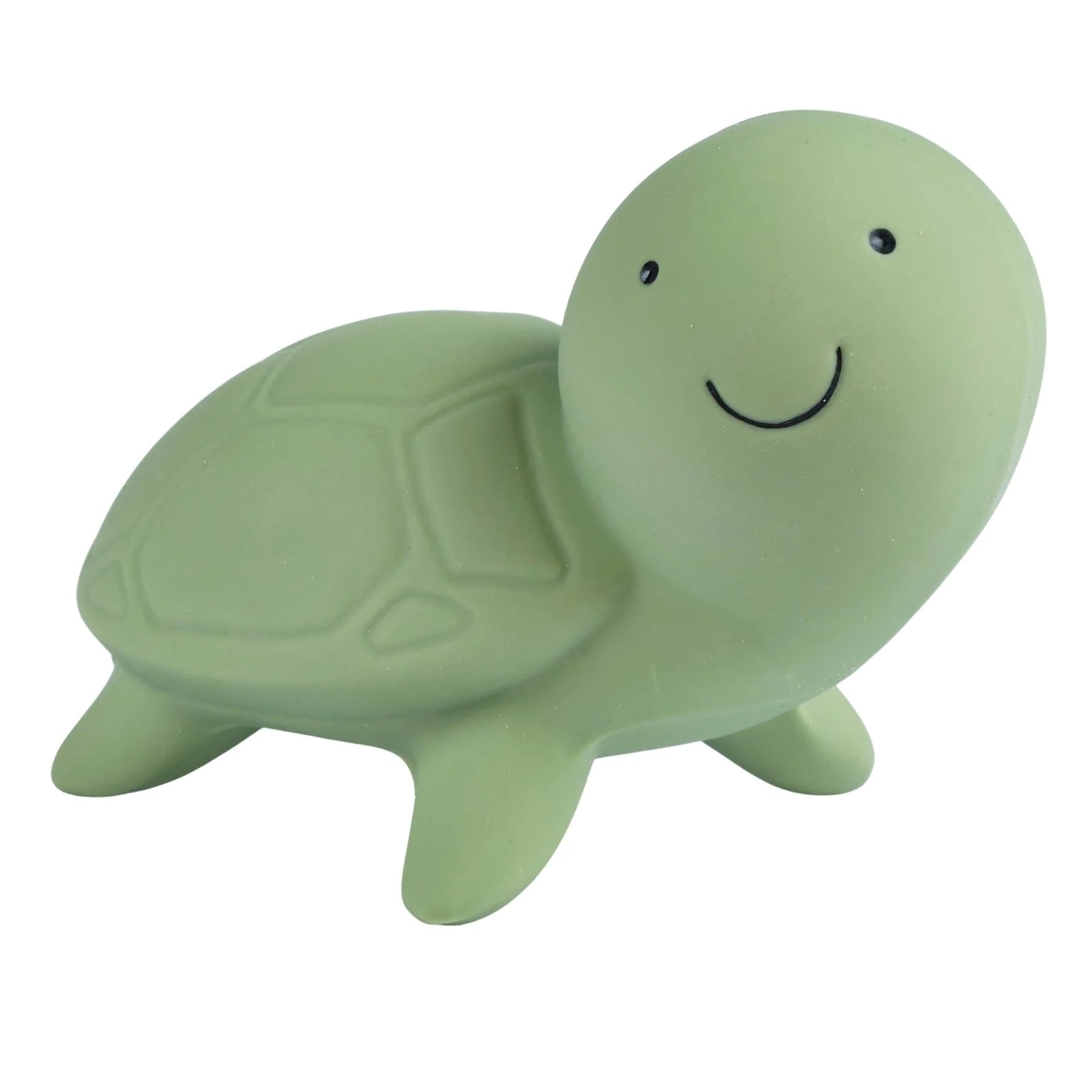 Turtle Natural Organic Rubber Toy | Tikiri Toys
