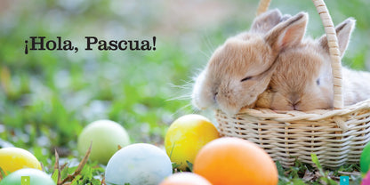 Pascua | Lori Dittmer