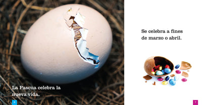 Pascua | Lori Dittmer