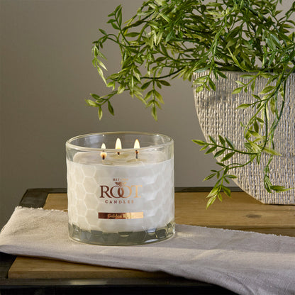 Honeycomb 12 oz Candles | Root Candles
