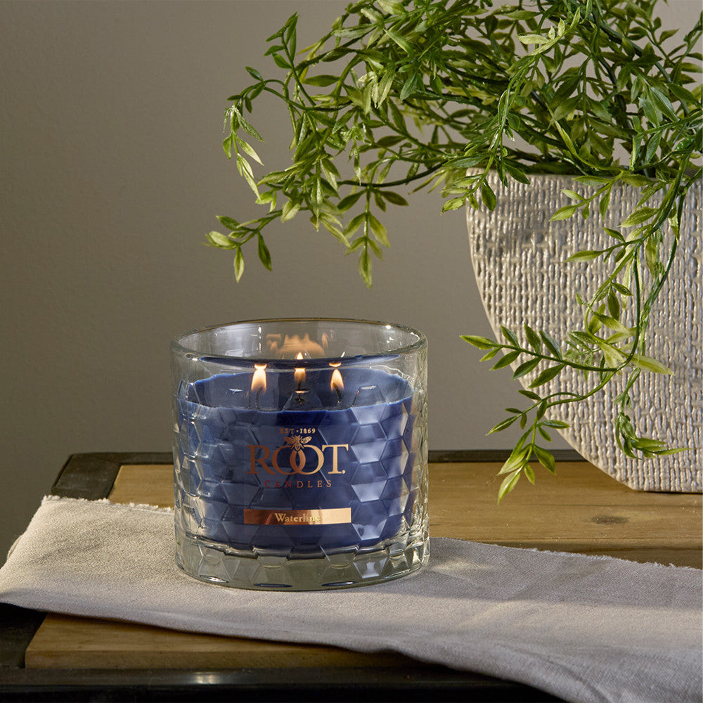 Honeycomb 12 oz Candles | Root Candles