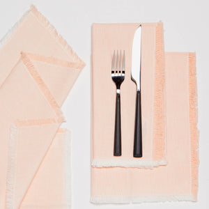 Set of 4 Chambray Cloth Napkins (Various Colors) | Now Designs