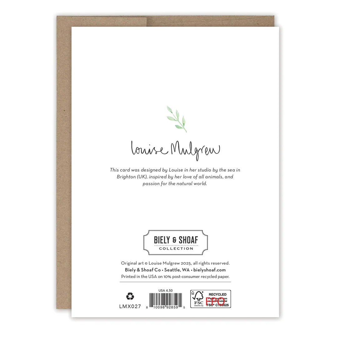 Peace on Earth Dove Boxed Card Set | Biely & Shoaf