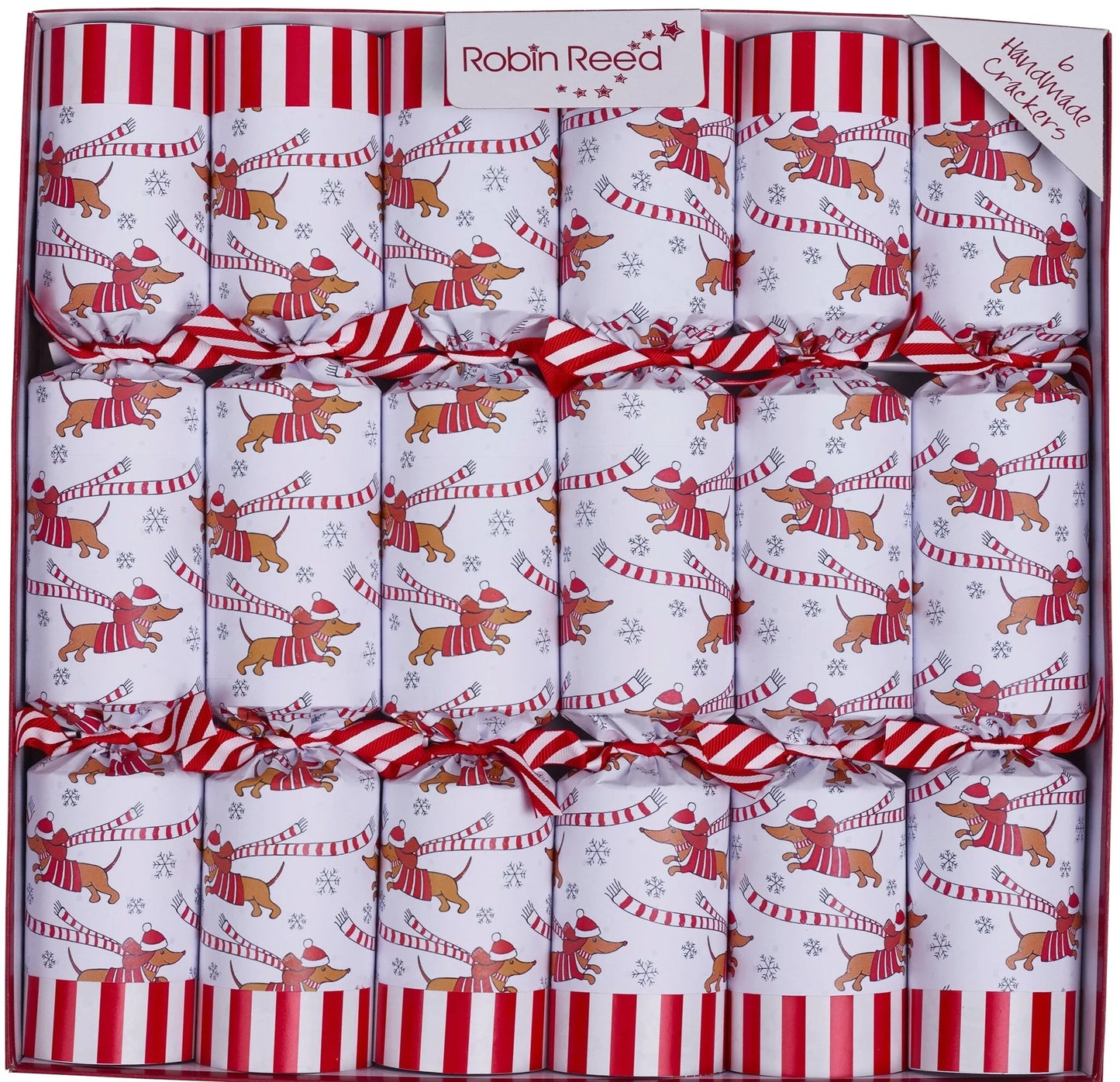 Sausage Dog Racer Christmas Crackers (Wind-up Racers) | Robin Reed