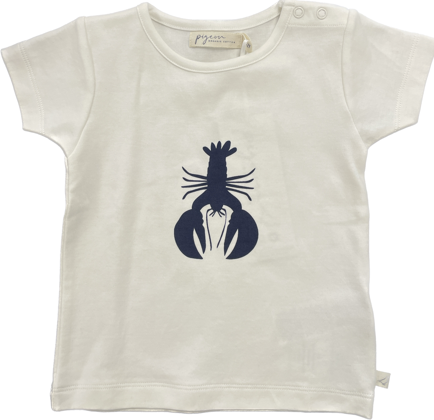 Cotton T-Shirt (Various Prints) | Pigeon Organics