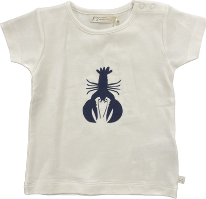 Cotton T-Shirt (Various Prints) | Pigeon Organics