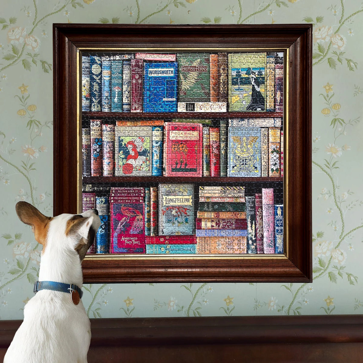 Vintage Library Puzzle (1000pc) | Eeboo