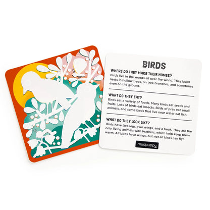Woodland Friends Color Magic Water-Reveal Kit | Mudpuppy
