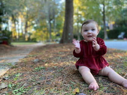 Burgundy Daisy Velvet Bubble | Vignette