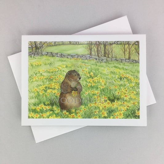 Daffodil Meadow Notecard | Woodfield Press