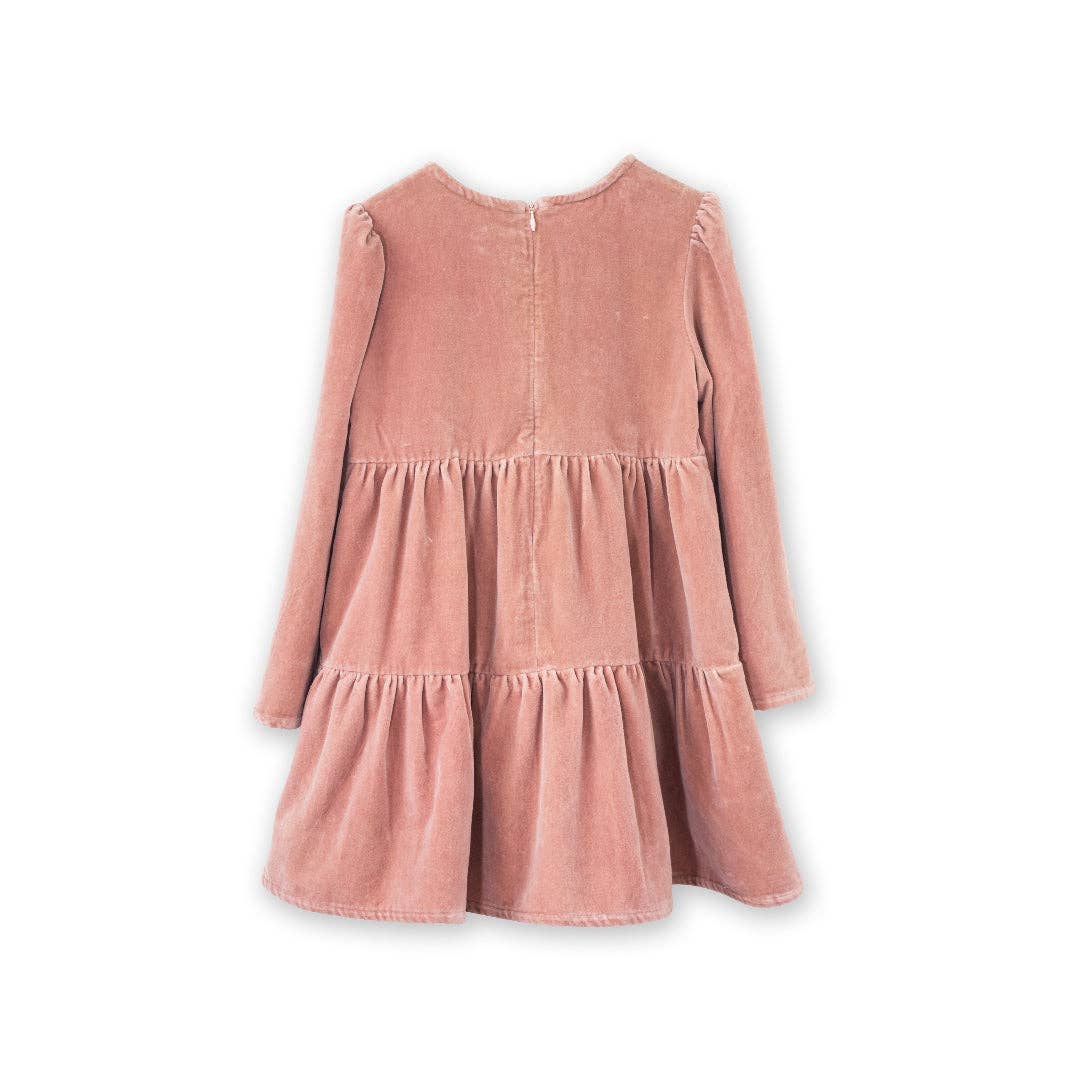 Holly Dress - Blush Velvet | Beet World