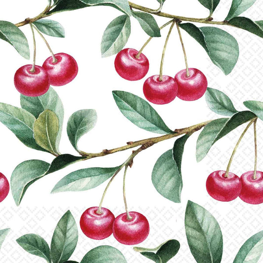Cherry Lovers Paper Lunch Napkin | Boston International
