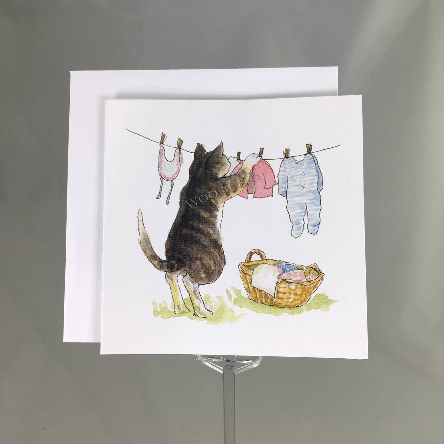 Clothesline Enclosure Cards | Woodfield Press