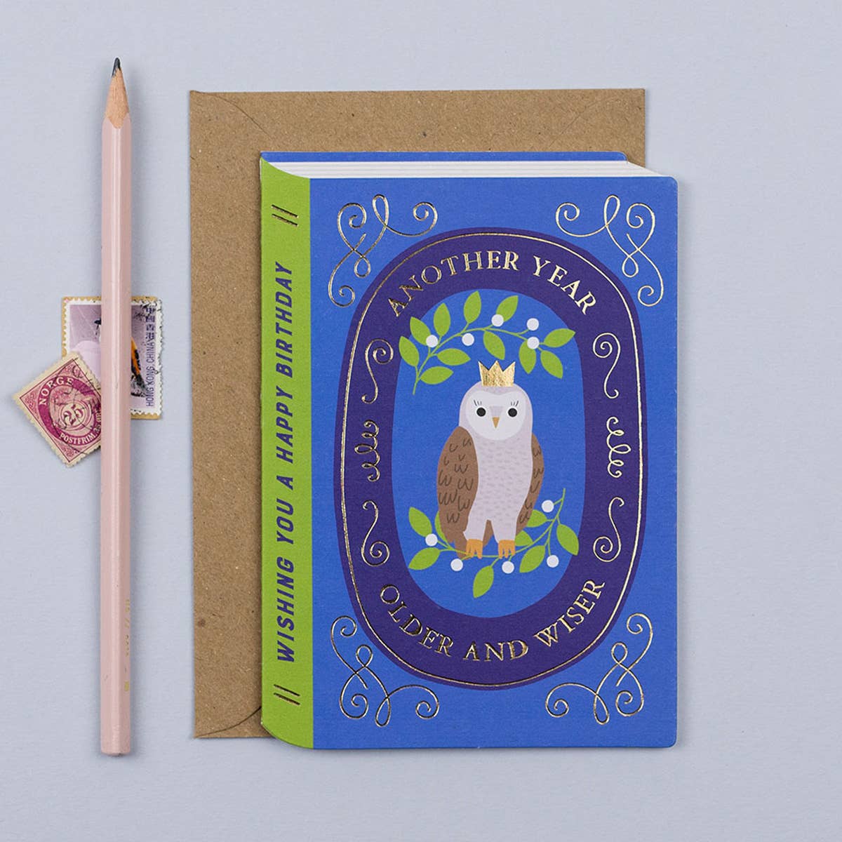 Fairytale Wise Owl Birthday Card | Mifkins