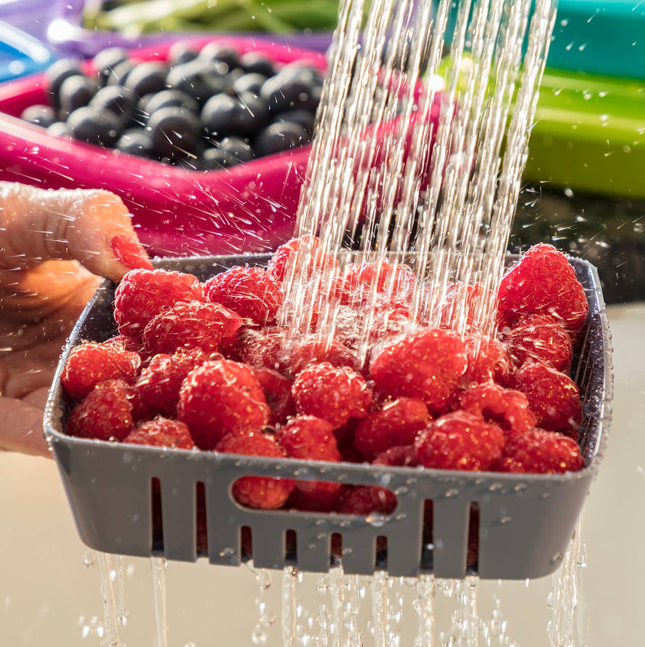 Bitty Berry Box | Gourmac