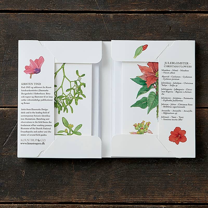 Christmas Flowers Boxed Cards | Koustrup & Co