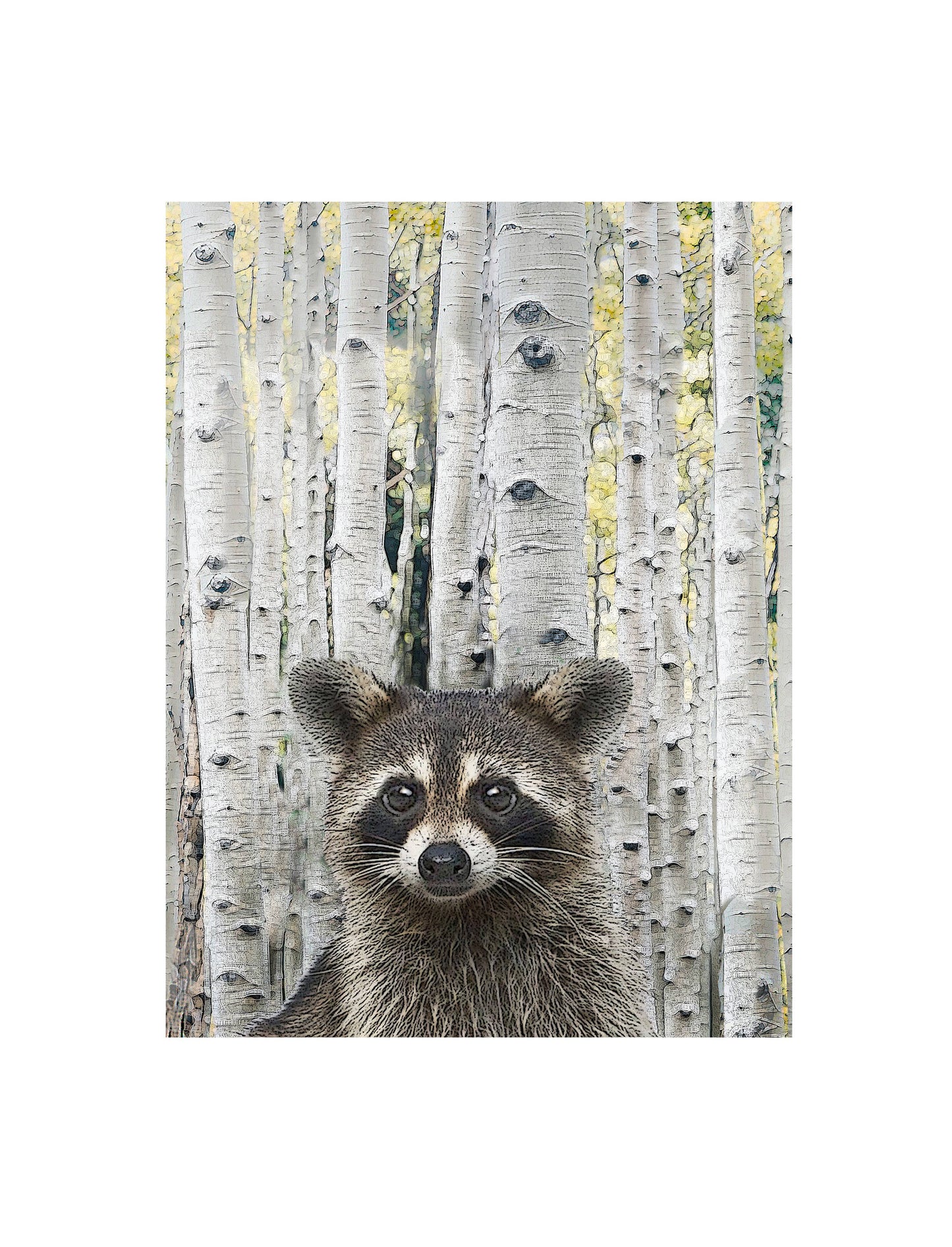 Raccoon Flour Sack Towel | Alphie and Ollie