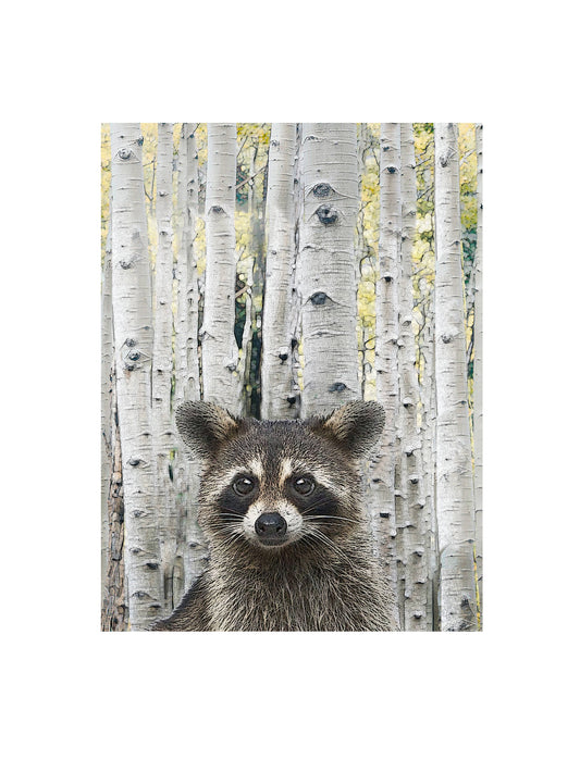 Raccoon Flour Sack Towel | Alphie and Ollie
