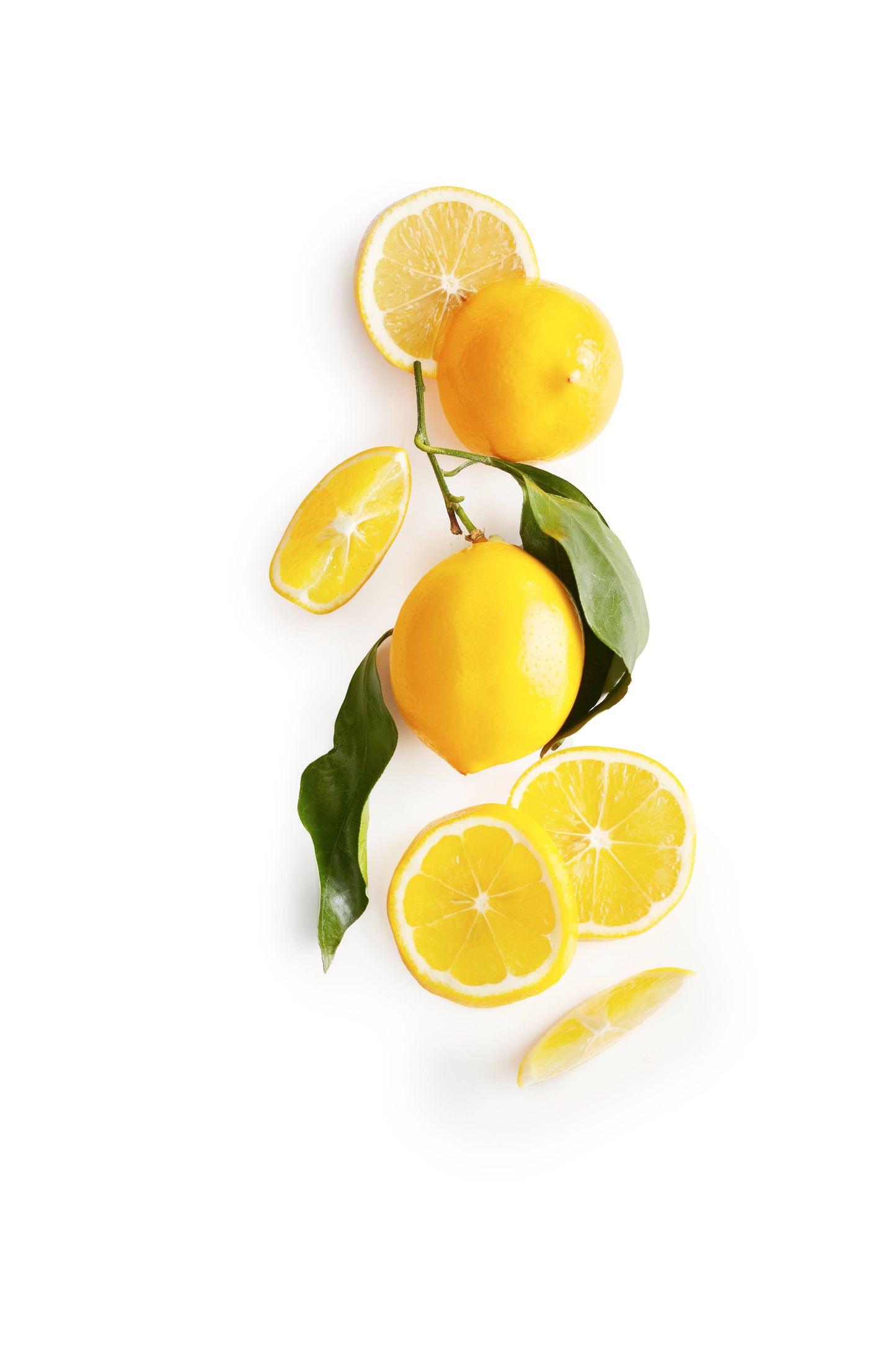 Shortbread Cookies - Meyer Lemon | Rustic Bakery