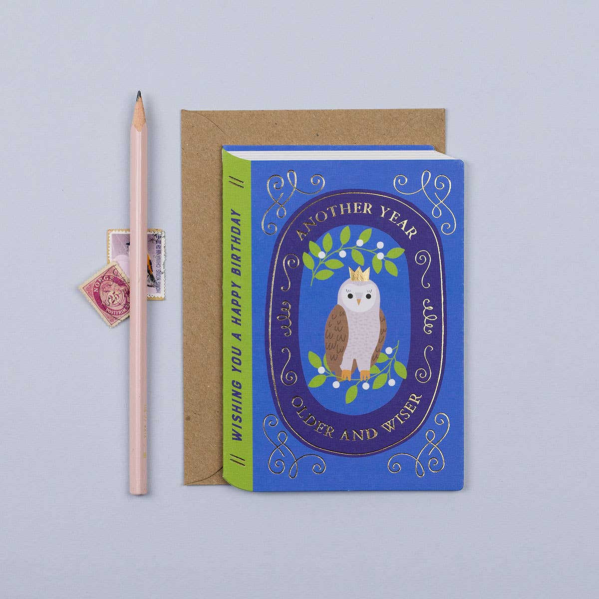 Fairytale Wise Owl Birthday Card | Mifkins