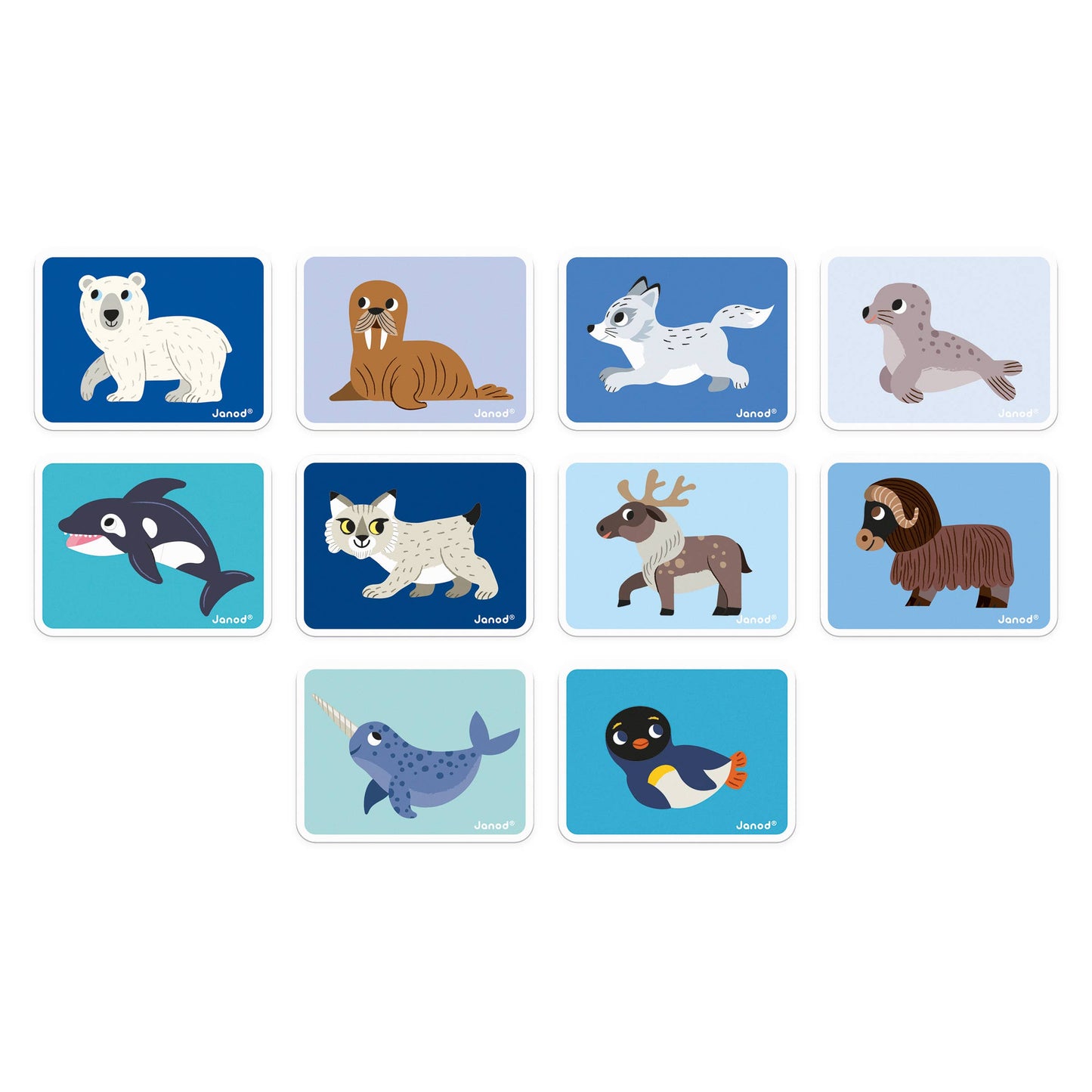 Magneti'book - Polar Animals | Janod