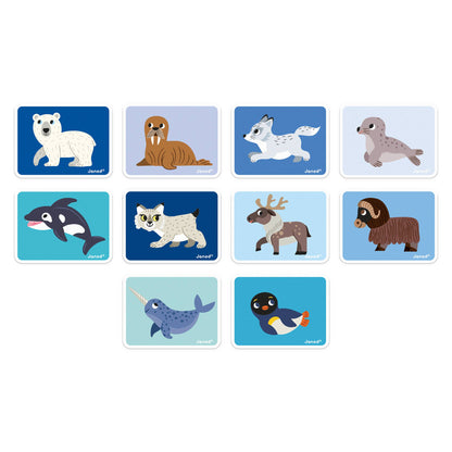 Magneti'book - Polar Animals | Janod