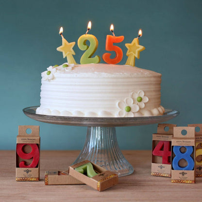 Birthday Number Cake Candles (Various) | Big Dipper Wax Works