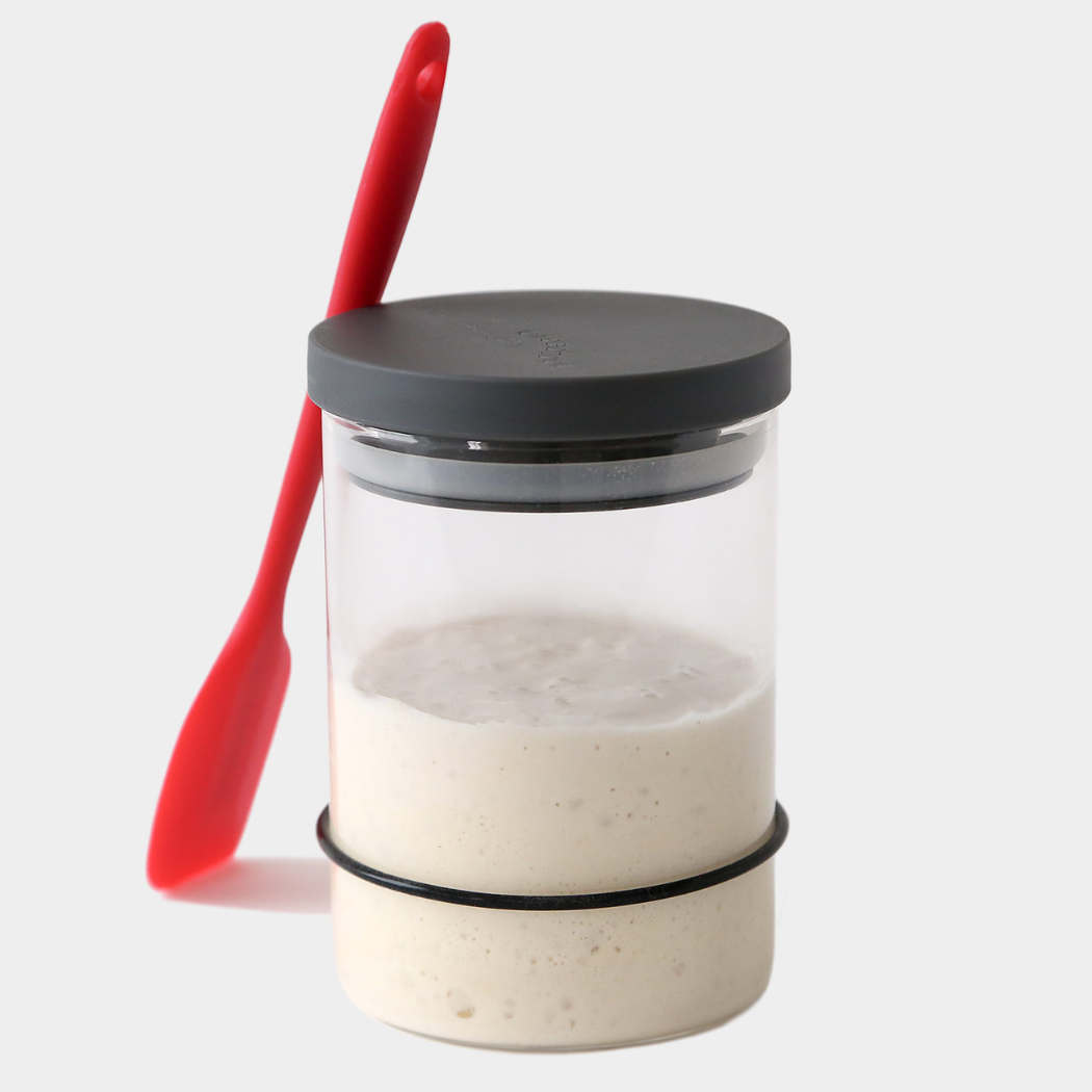 Sourdough Starter Kit | Breadtopia