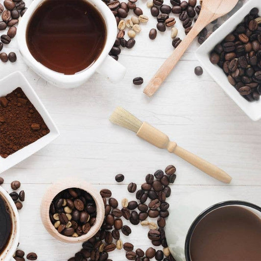 Fino Coffee Grinder Cleaner | HIC Kitchen