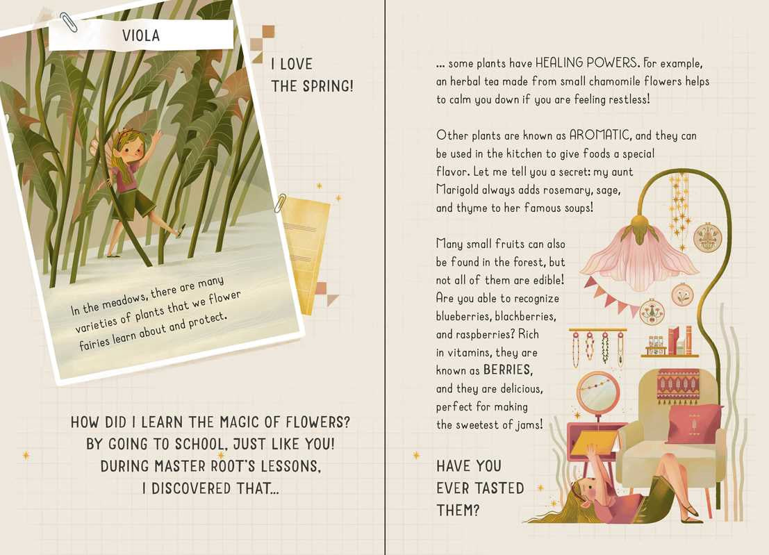 My Little Box of Fairies | S&S