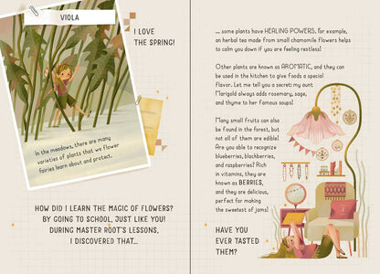 My Little Box of Fairies | S&S