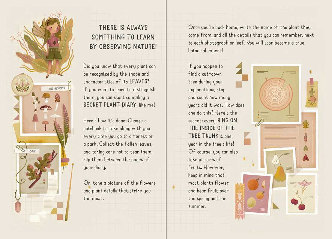 My Little Box of Fairies | S&S
