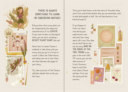 My Little Box of Fairies | S&S