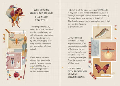 My Little Box of Fairies | S&S
