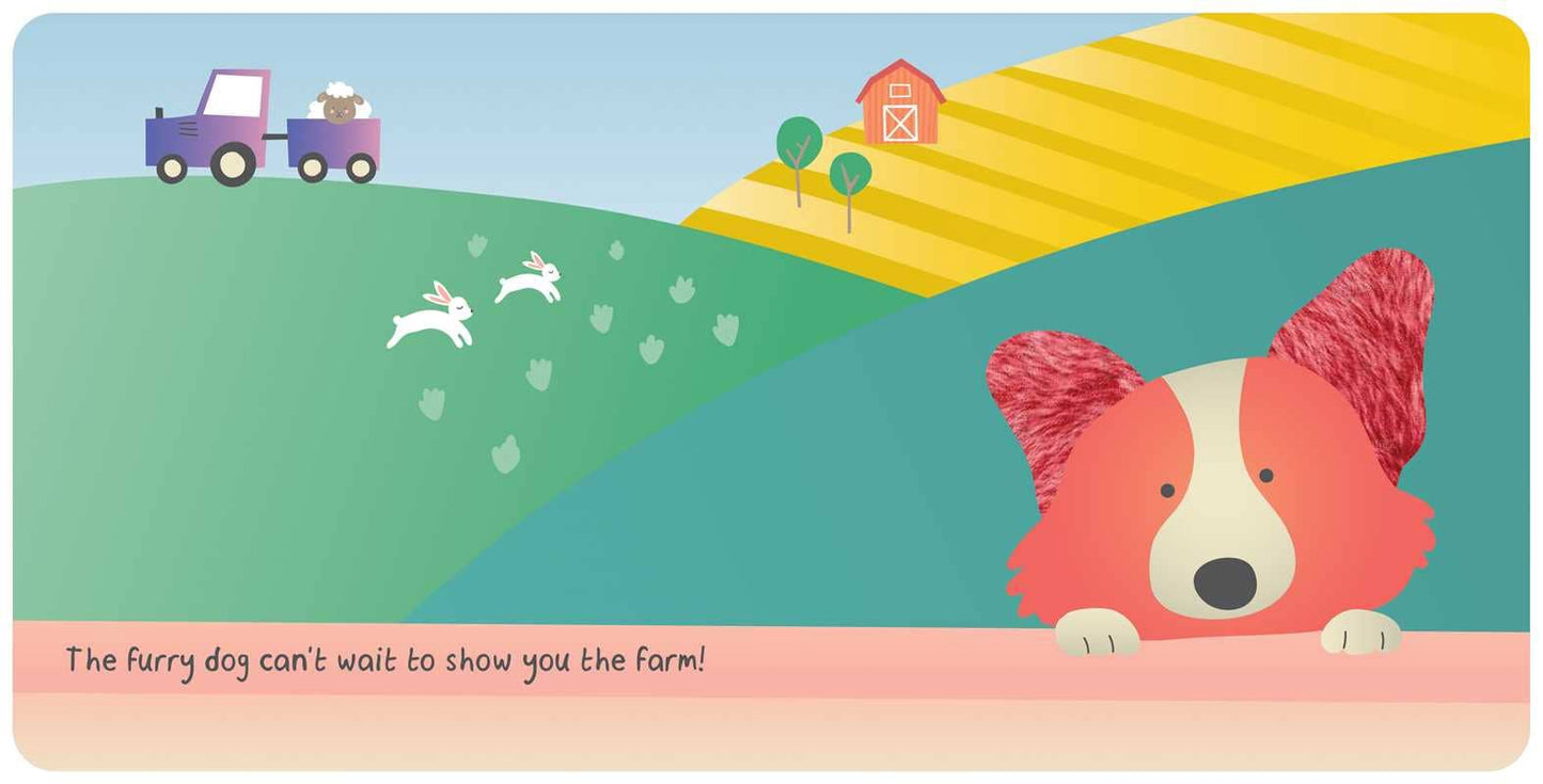 Farm Animals: My First Touch & Feel Book | Baby's World