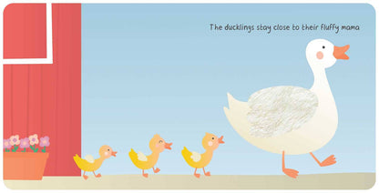 Farm Animals: My First Touch & Feel Book | Baby's World