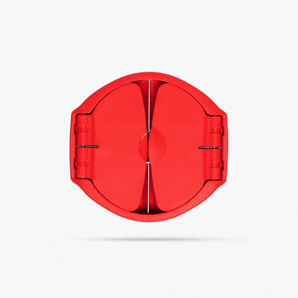 Flapple®  - Fold Flat Apple Slicer & Corer | Dreamfarm